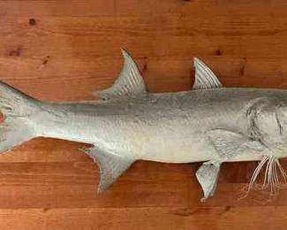 ABS123 Taxidermy Fish Wall Hanging 