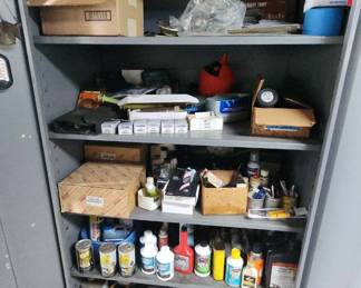 ABS225 - 2-Door Metal Storage Cabinet and Contents 