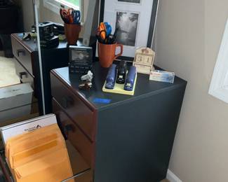File Cabinet, Office Supplies 
