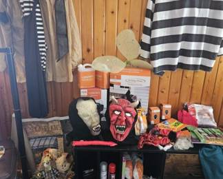 Halloween from costumes to decorations 