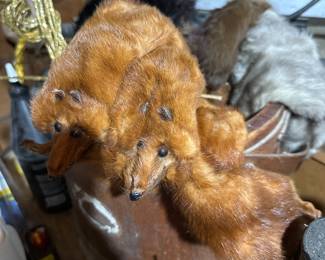 vintage bucket of minks 