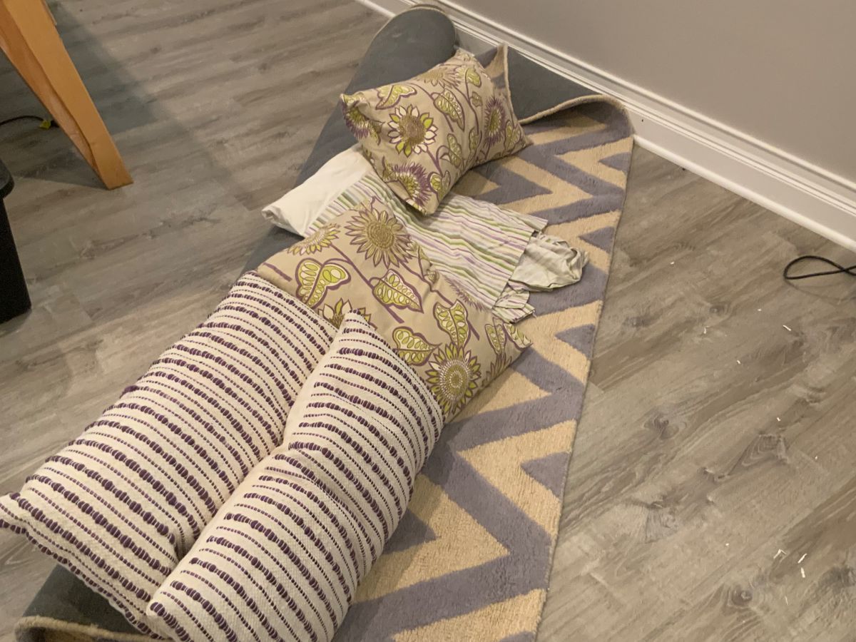 BUY IT NOW: Wool Chevron cream and purple rug 7 x 9 matching pillows and custom made twin bed skirt. Great for a girls room. Asking $150 entire collection or OBO. 