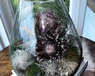Handmade large  unique glass Terrarium with real plants including air plants and moss that don’t need watering , handcrafted and styled by Lizzy James 