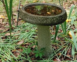 Fantastic authentic concrete mushroom bird bath
