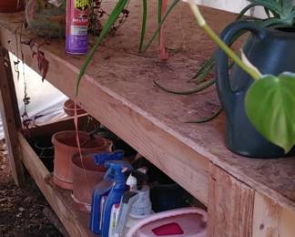 Potting tables in the green house