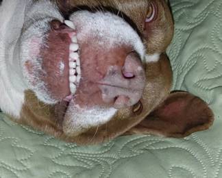 Precious is dreaming of seeing everyone @ the sale.