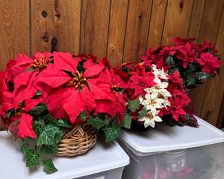Poinsettias, in basket, clear vase and ruby etched vase