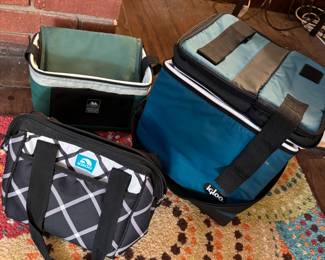 Group of personal-size insulated/lunch bags