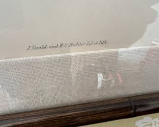 J. Gould and HC Richter etching