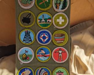 Boy scout sashes