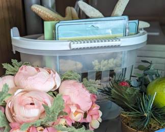 Seashells for crafts