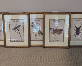 Insect art set