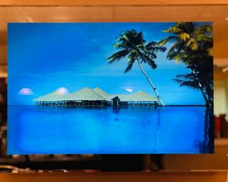Back-lit tropical image - mirrored frame , 36" x 24", electrified