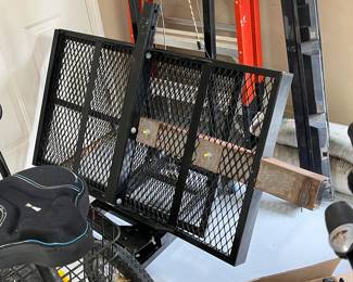 Carrier for the Liberty Trike