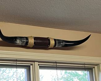 Set of mounted horns