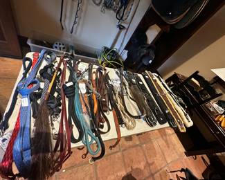 Leads ropes, pads, saddles, helmets etc!!