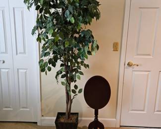 Set of 6ft Faux Ficus Tree and Small Oval Dark Wood 2ft Tall Occasional Table w/ Folding Oval Top 