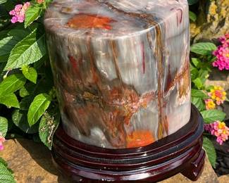 Beautiful polished petrified Wood on a stand