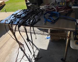 Horse Tack