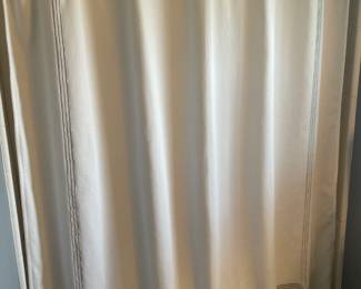. . . shower curtain