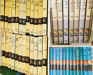 Bobbsy Twins and Nancy Drew