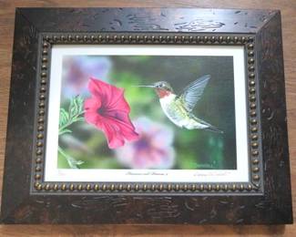 Signed, Danny O'Driscoll Hummingbird Framed Canvas Print