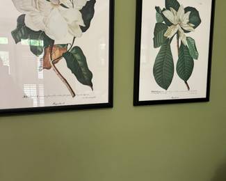 Magnolia Magna Flora Prints
