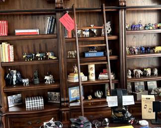 Beautiful Wall Shelf Unit with a sliding ladder and file drawer 