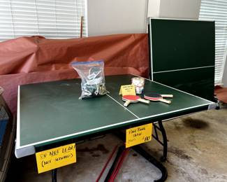 Ping Pong Table