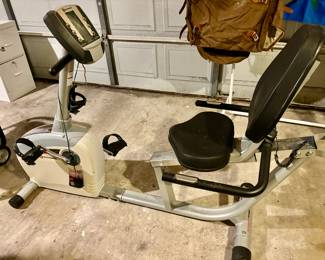 Schwinn exercise bike