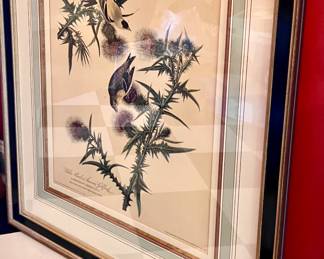Audubon wall art