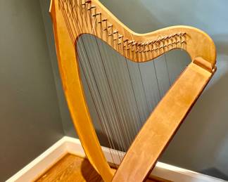 Gorgeous harp