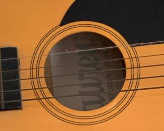 Student guitar