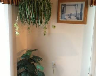 Faux plants, several available; 2 matching faux hanging spider plants available)