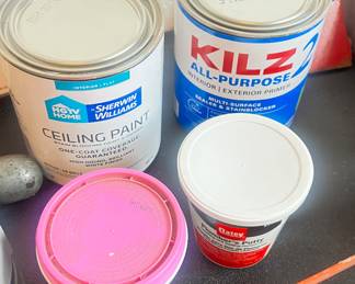 Paint - Ceiling; All-Purpose