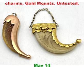 Lot 123 2pc Animal claws pendants charms. Gold Mounts. Untested. 
