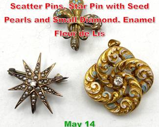 Lot 126 3pc 14K Gold Antique Scatter Pins. Star Pin with Seed Pearls and Small Diamond. Enamel Fleur de Lis 