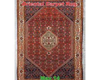 Lot 545 5 9 X 3 9 Handmade Bidjar Oriental Carpet Rug.