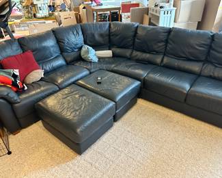 Sectional couch