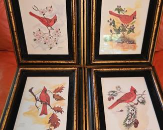 Cardinal Season Limited Edition Prints!
