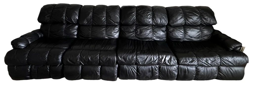 Lackawanna Leather Sectional Sleeper Sofa