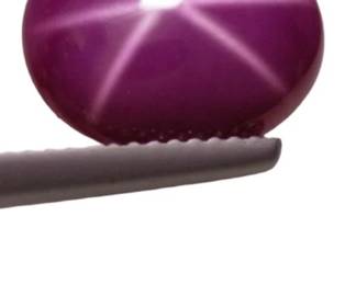 9.50 CT Plum Star Ruby Gemstone
