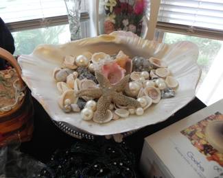 Large Clam Shell