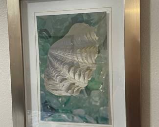 seashell art
