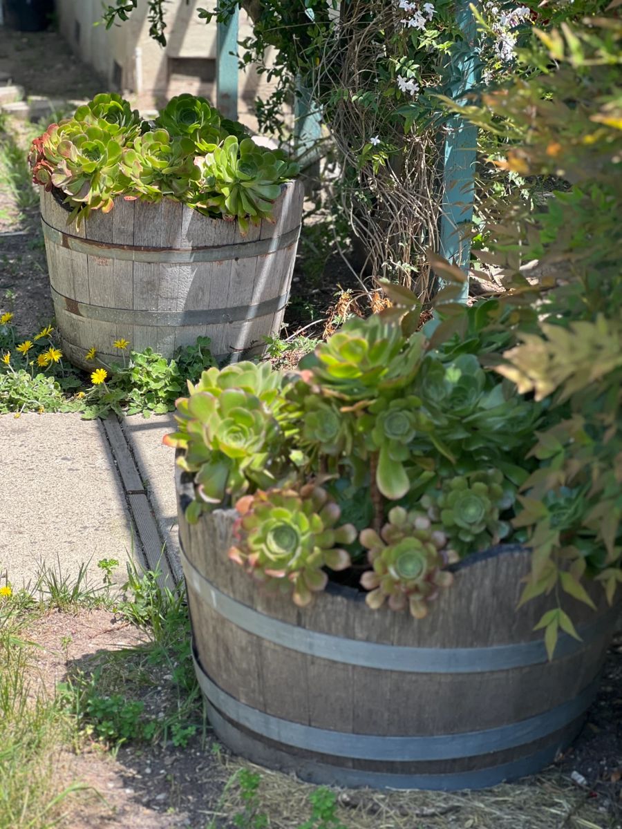 Santa Ynez Estate Sale starts on 5/11/2024