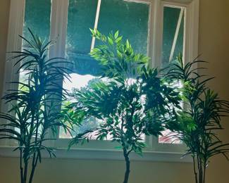 Trio of potted trees