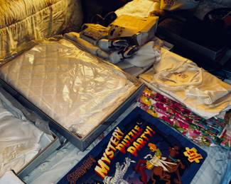 Scooby is following me!