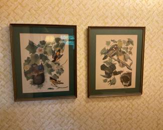 NICE VINTAGE BIRD PRINTS. VERY COLORFUL 