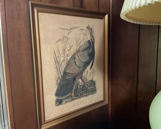 OLD TURKEY PRINT