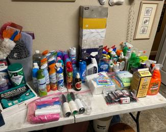 Tons and tons of cleaning products!